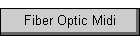 Fiber Optic